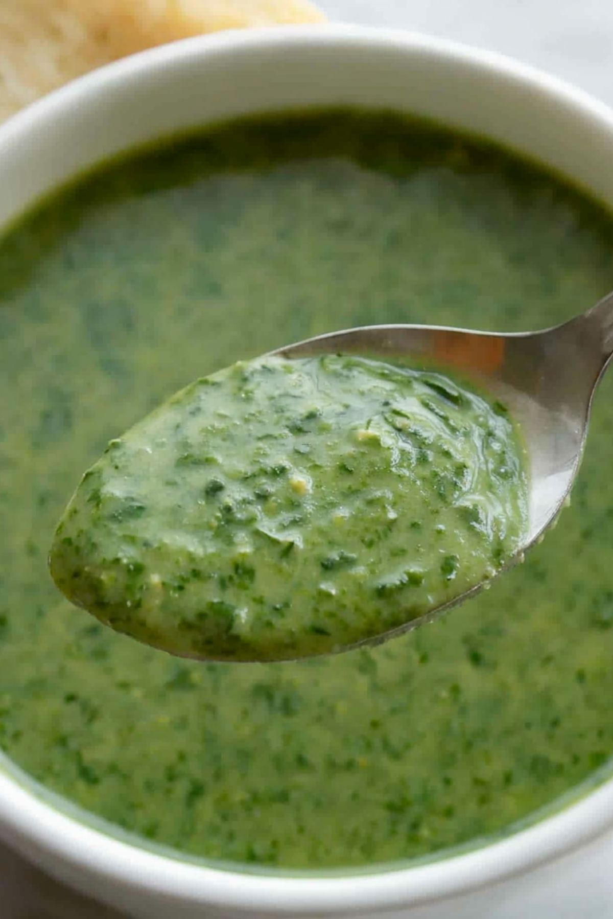 Spinach Cheddar Soup Recipe