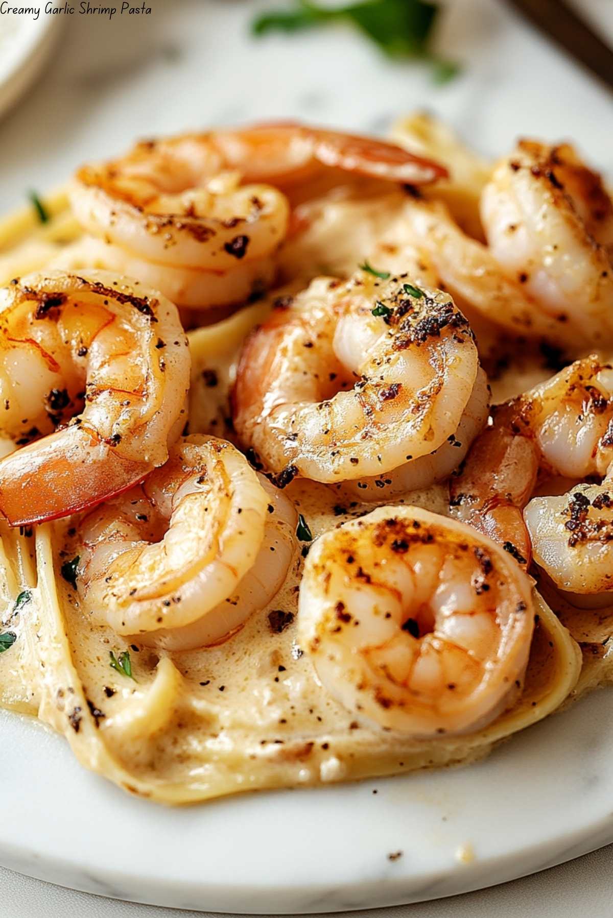 Creamy Garlic Shrimp Pasta