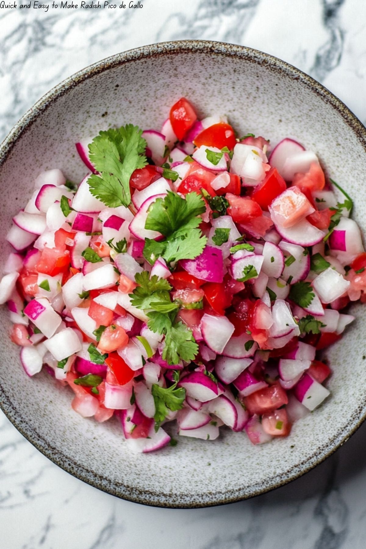 Quick and Easy to Make Radish Pico de Gallo