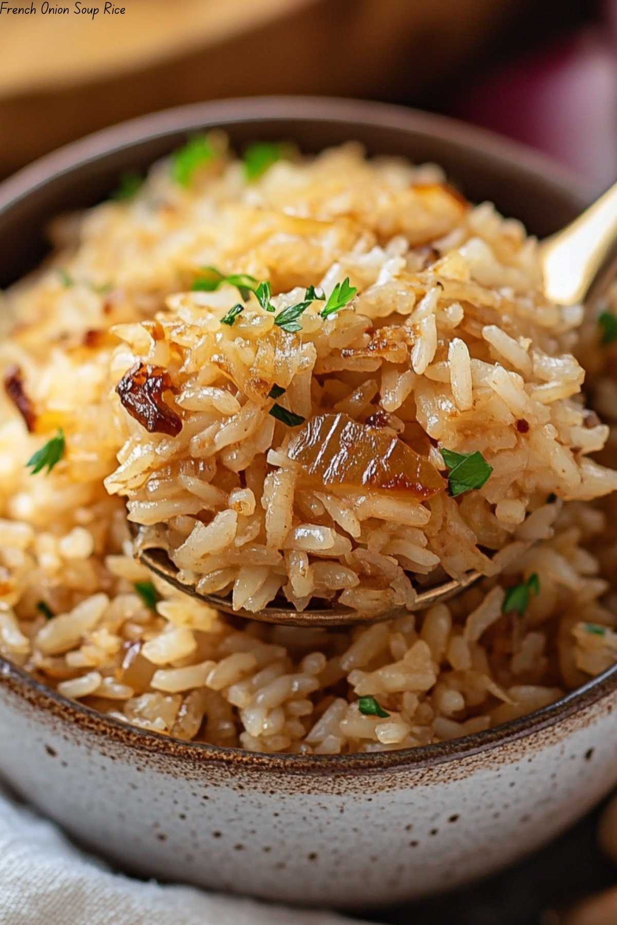 French Onion Soup Rice