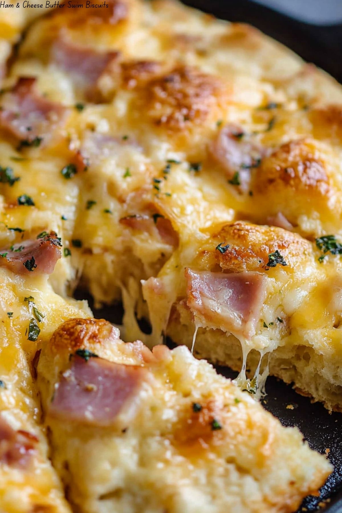 Ham & Cheese Butter Swim Biscuits