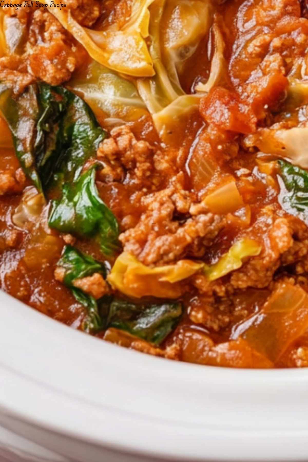 Cabbage Roll Soup Recipe
