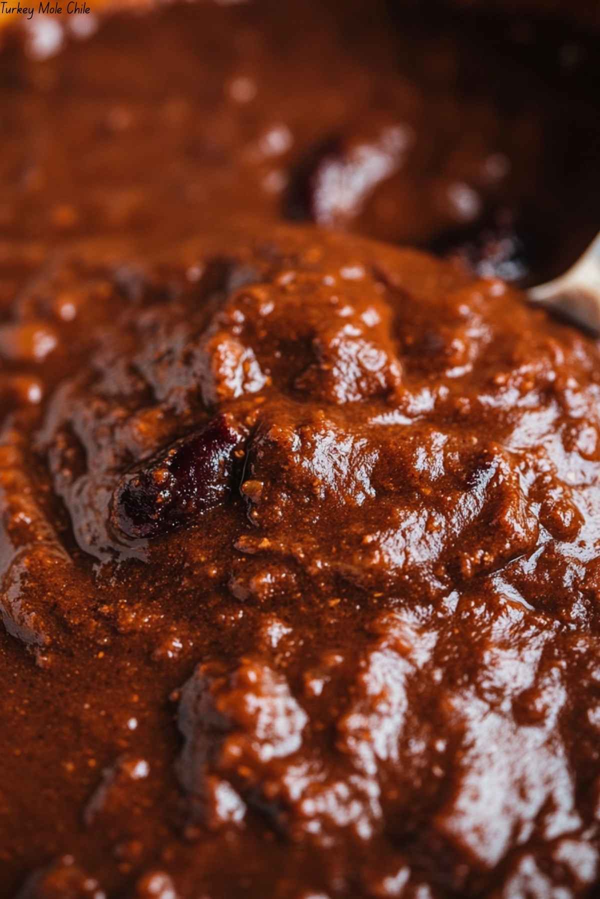 Turkey Mole Chile