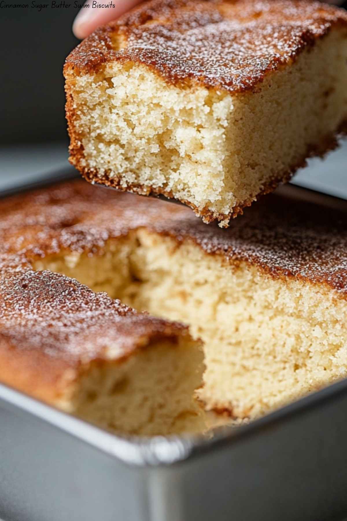 Cinnamon Sugar Butter Swim Biscuits
