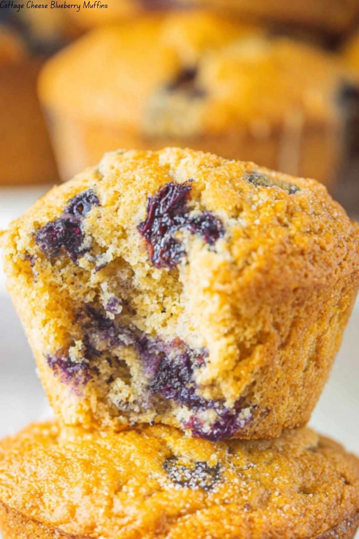 Cottage Cheese Blueberry Muffins