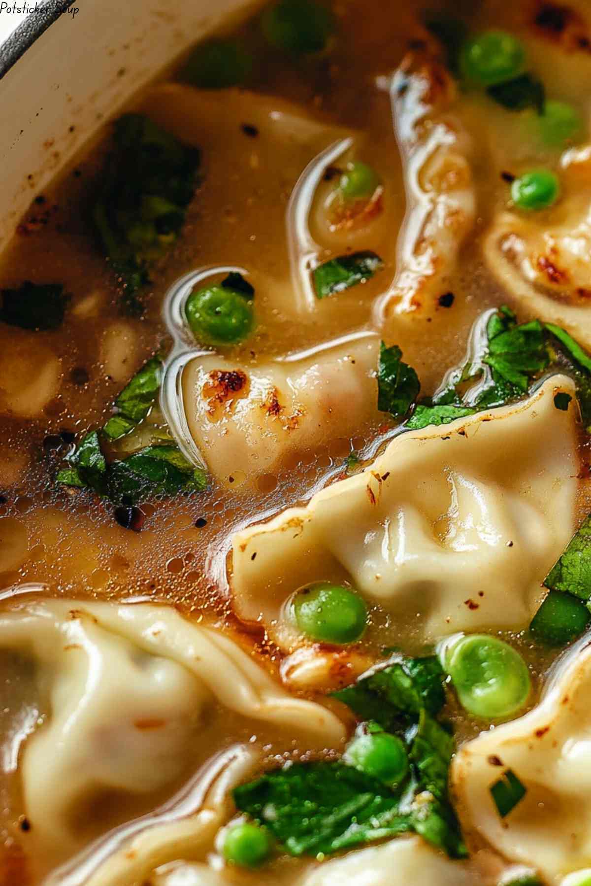 Potsticker Soup