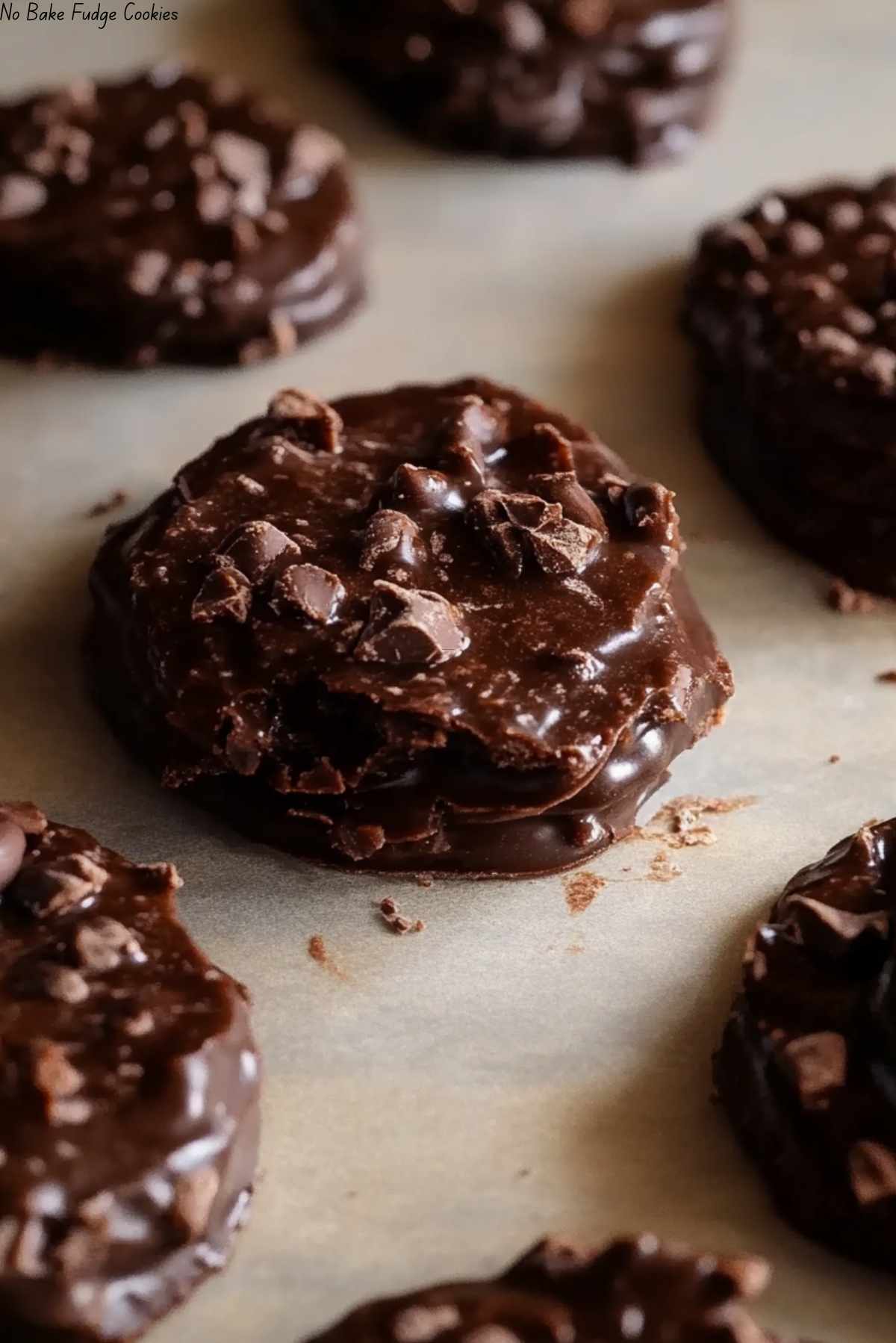 No Bake Fudge Cookies