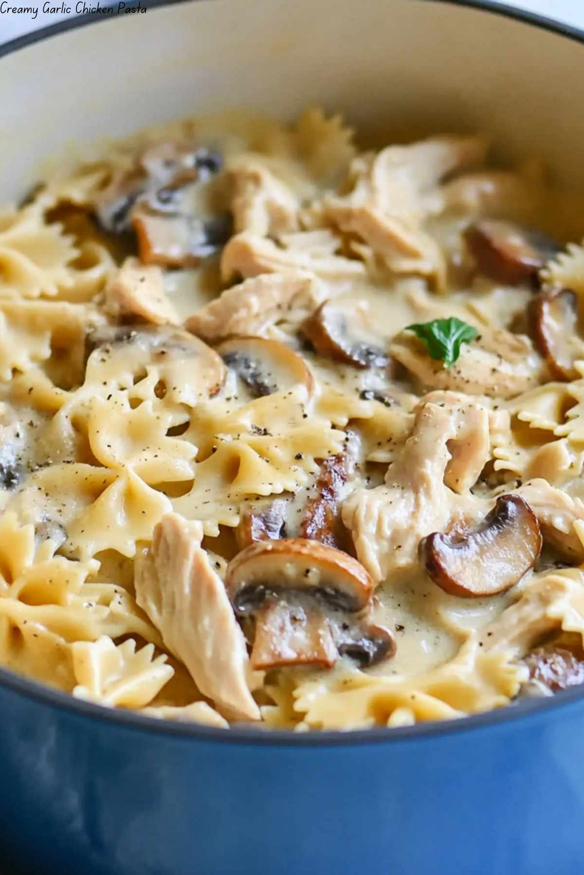 Creamy Garlic Chicken Pasta