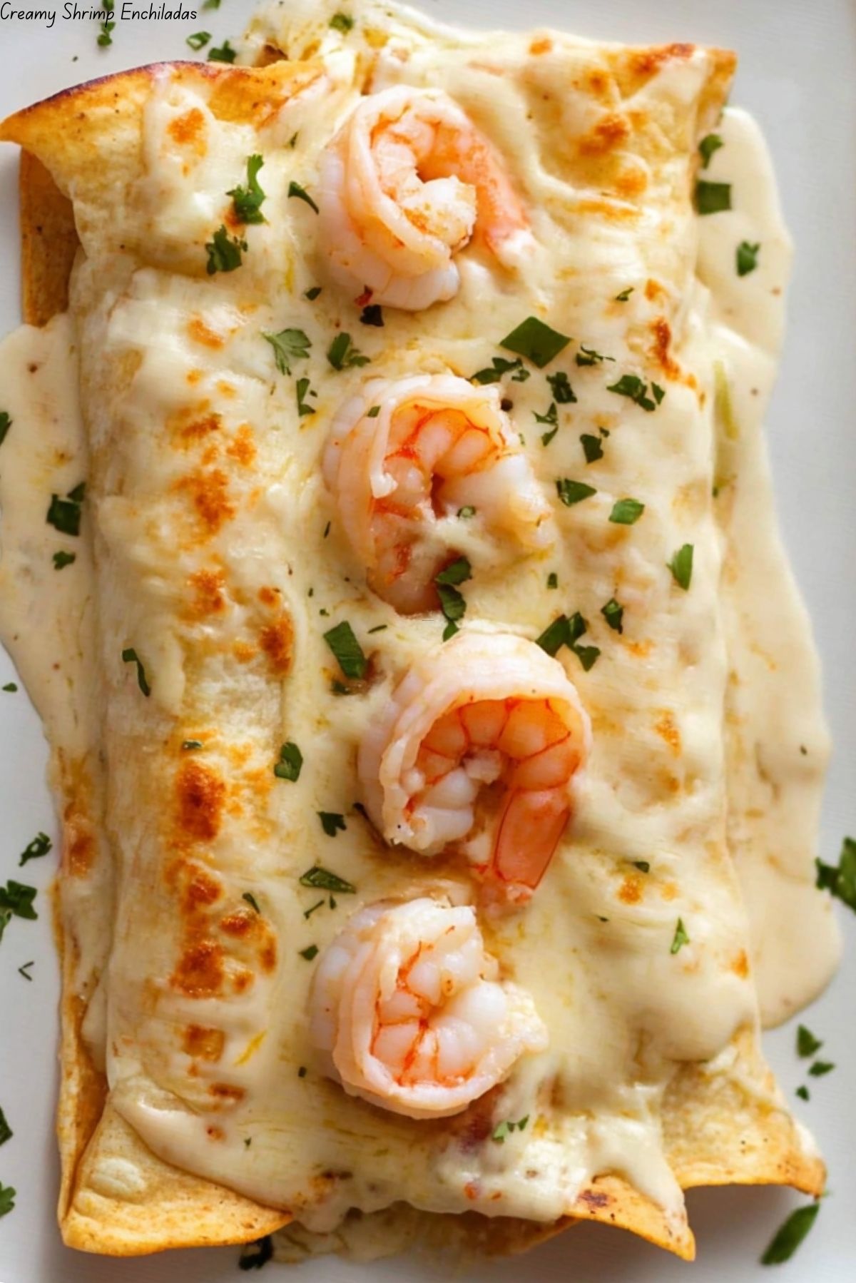 Creamy Shrimp Enchiladas