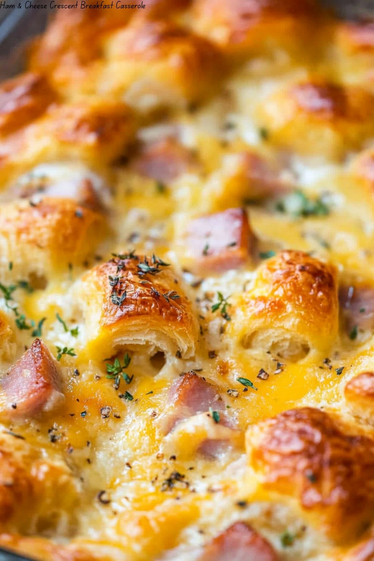 Ham & Cheese Crescent Breakfast Casserole