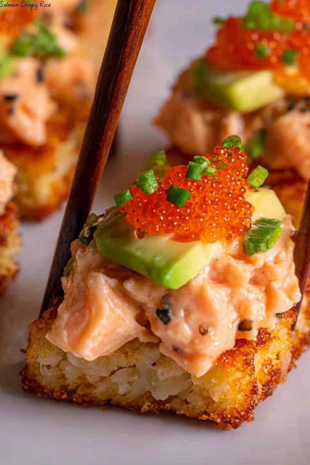 Salmon Crispy Rice