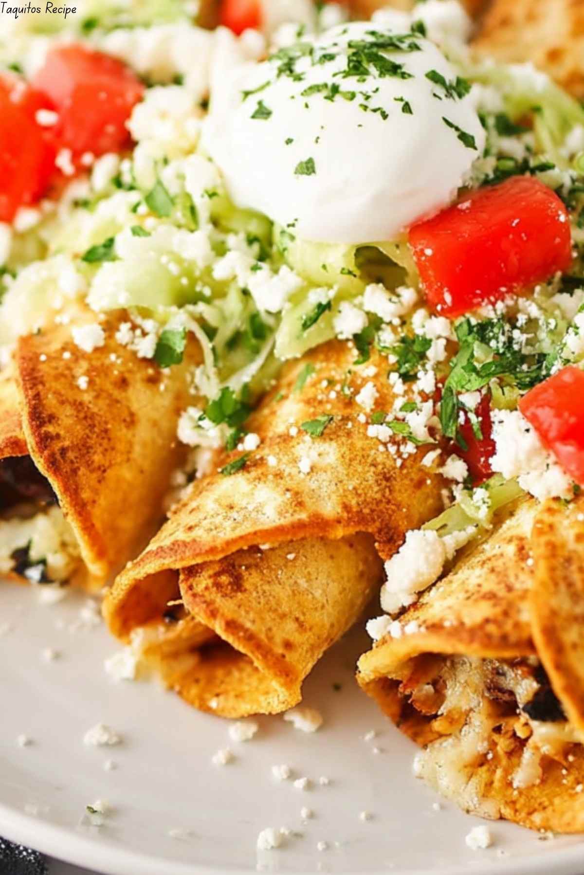 Taquitos Recipe