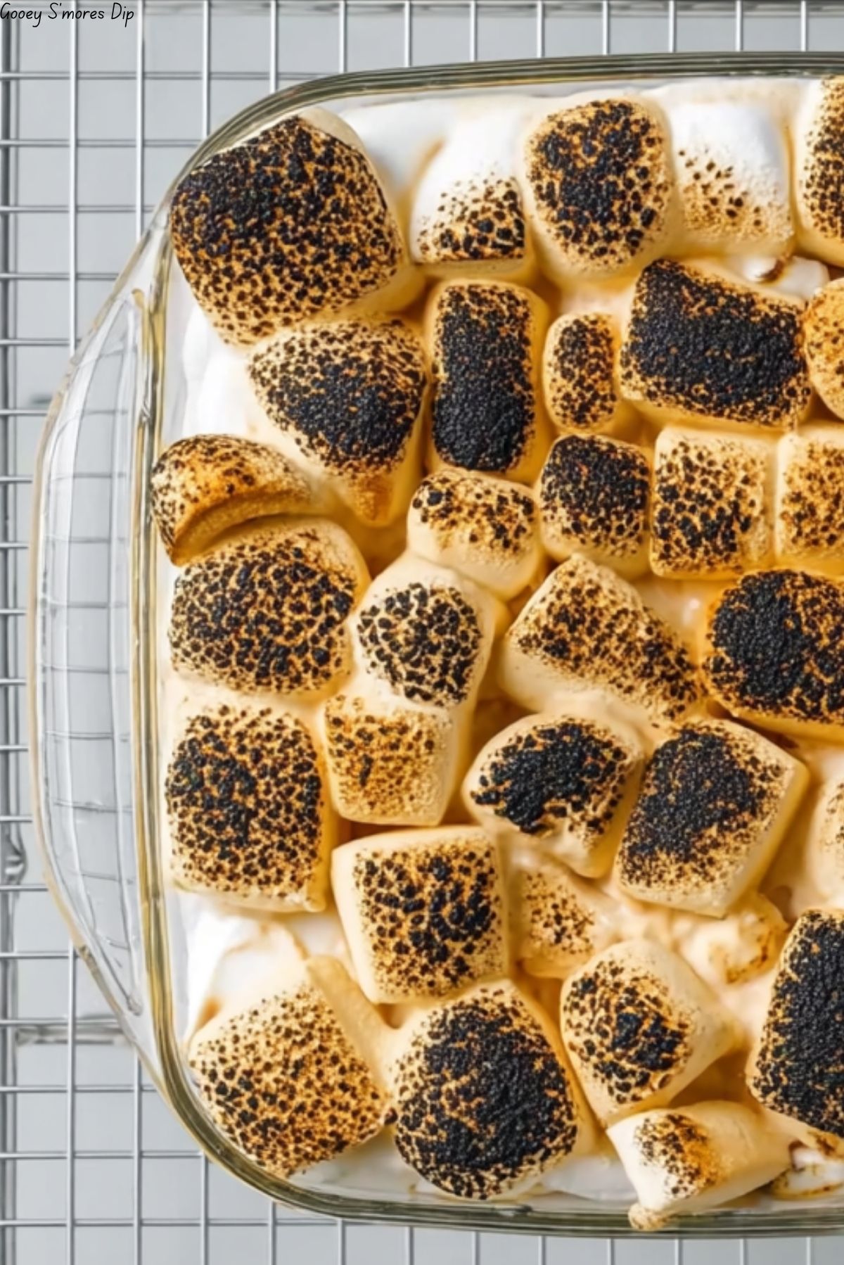 Gooey S'mores Dip
