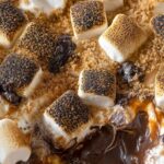 Gooey S'mores Dip 5 Gooey S'mores Dip