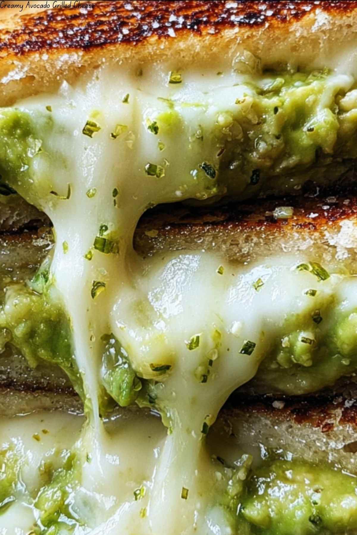 Creamy Avocado Grilled Cheese