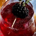 Lemon-Blackberry Sparkling Lambrusco and Gin 5 Lemon-Blackberry Sparkling Lambrusco and Gin
