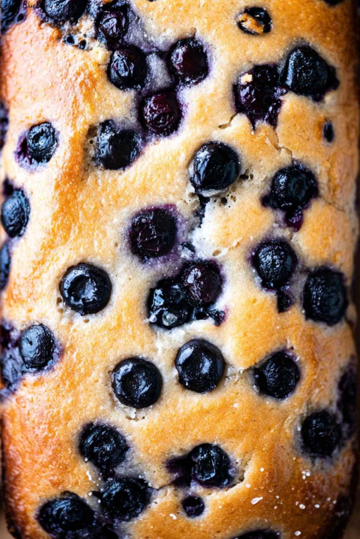 Lemon Blueberry Bread