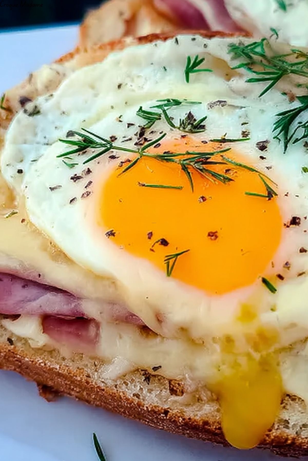 Croque Madame