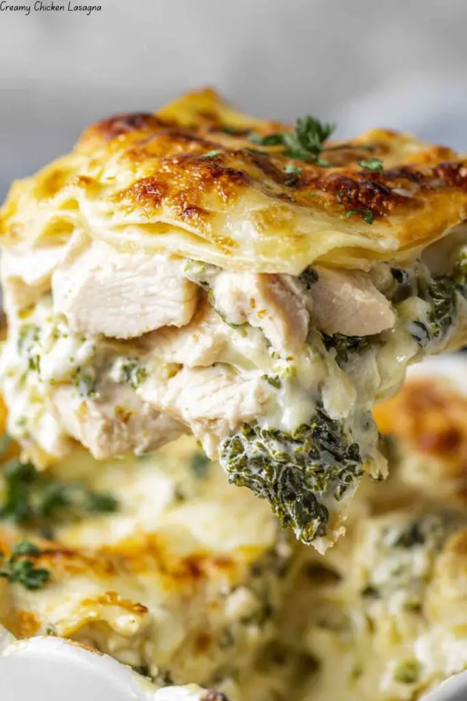 Creamy Chicken Lasagna 4 Creamy Chicken Lasagna