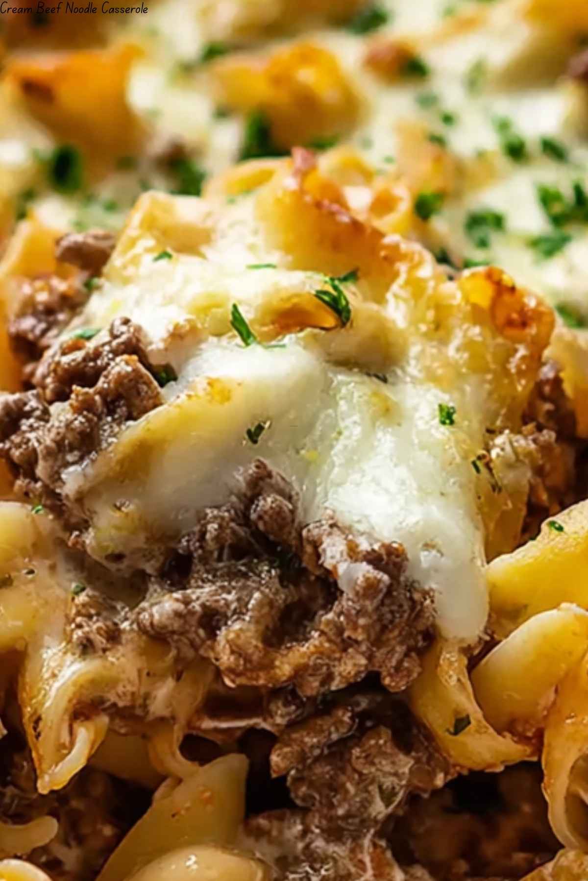 Cream Beef Noodle Casserole