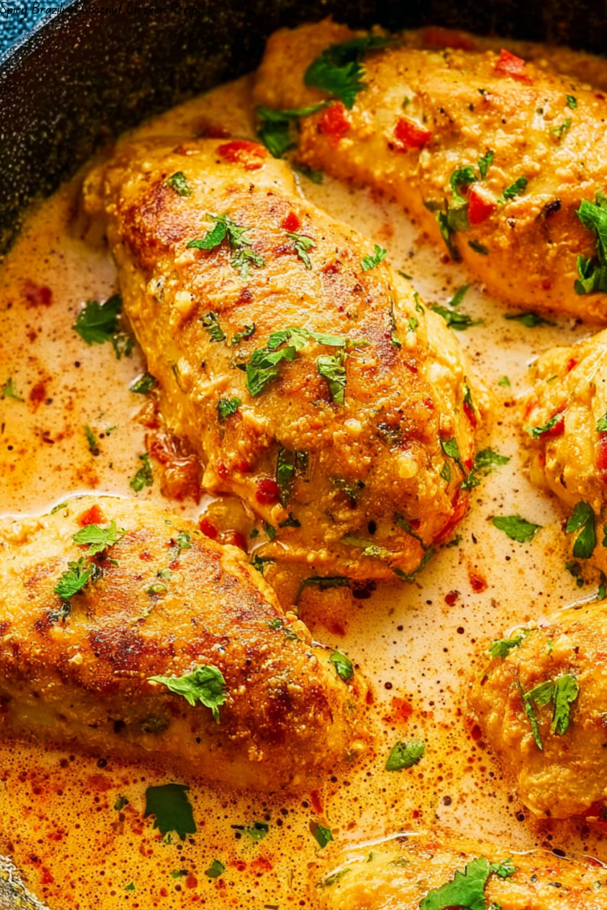 Spicy Brazilian Coconut Chicken Recipe