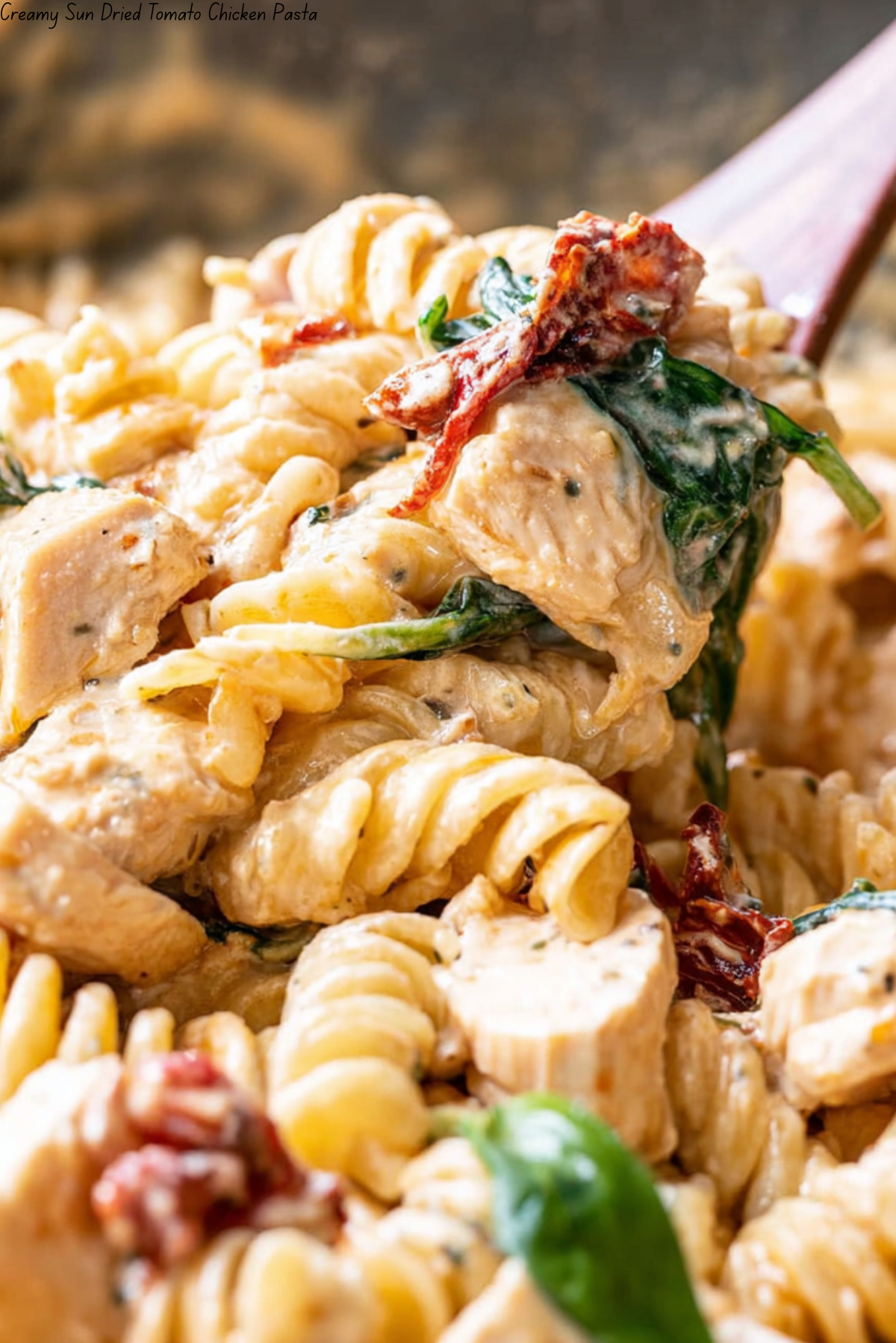 Creamy Sun Dried Tomato Chicken Pasta