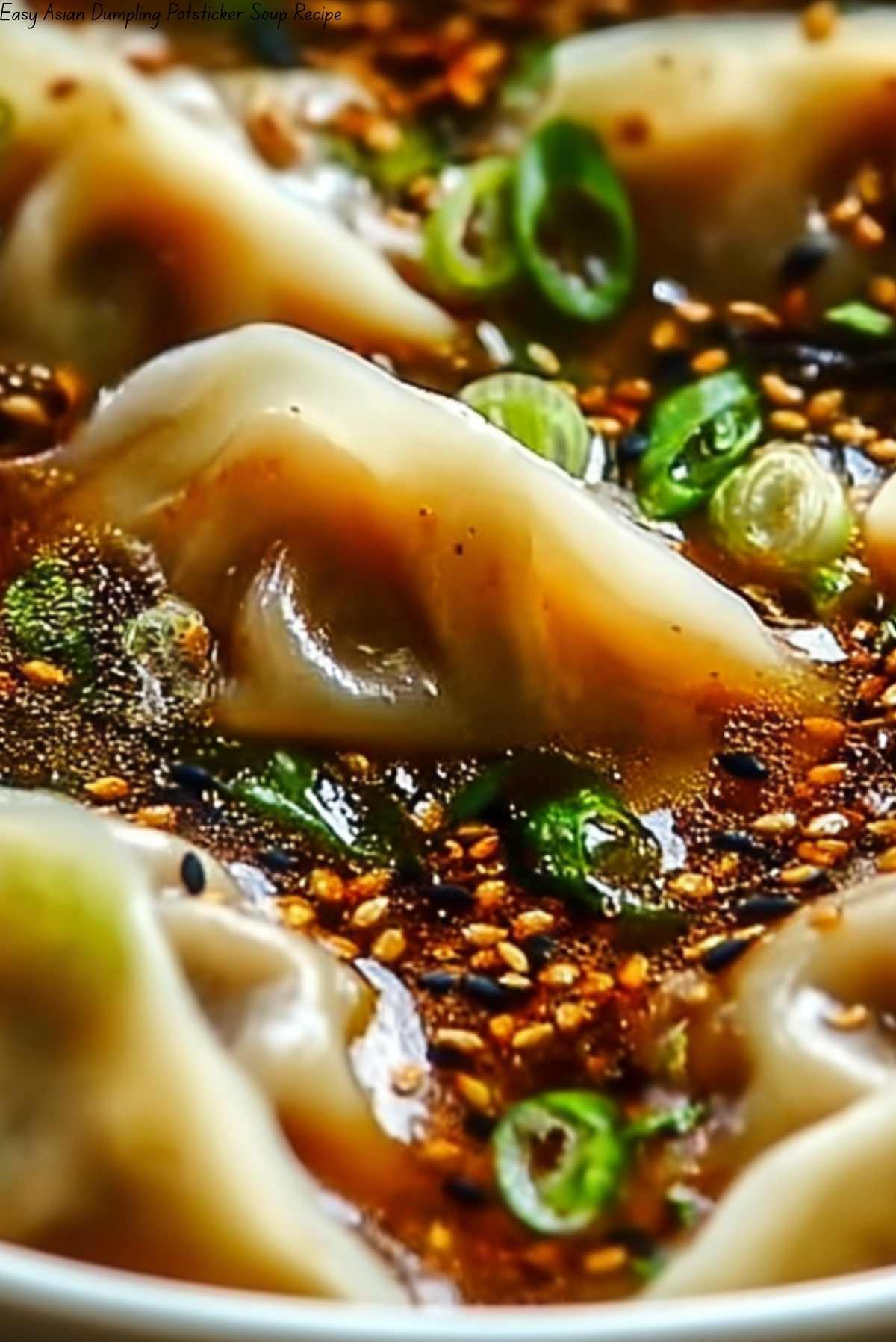 Easy Asian Dumpling Potsticker Soup Recipe