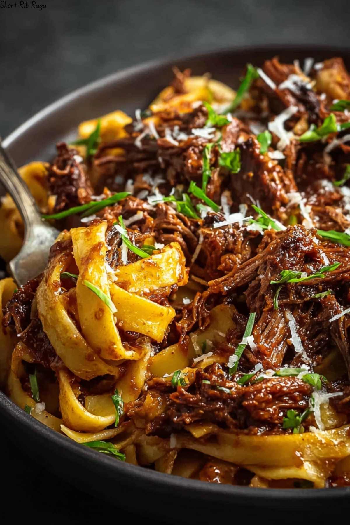 Short Rib Ragu