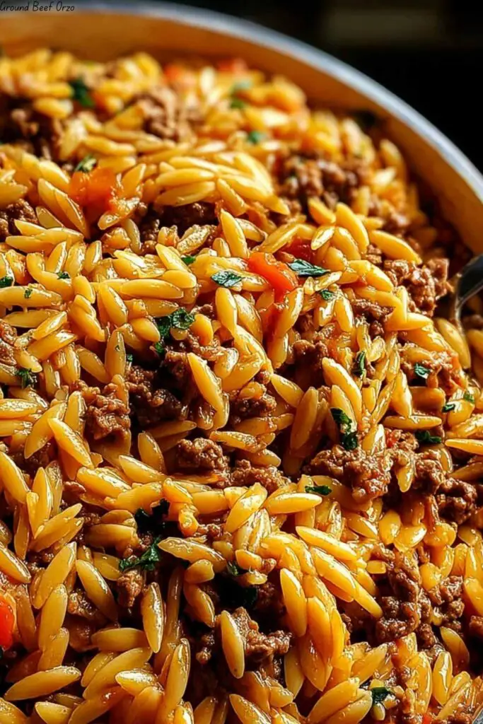 Ground Beef Orzo