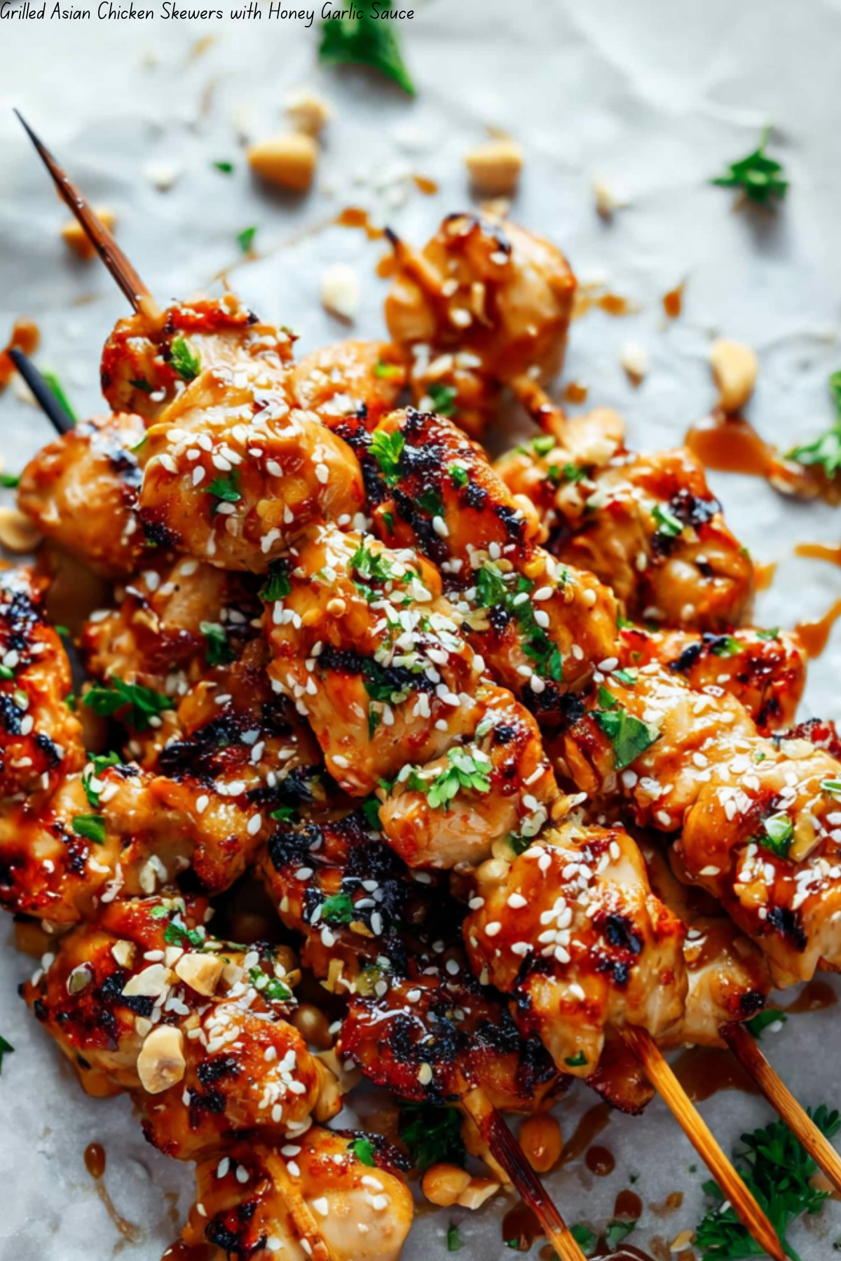 Grilled Asian Chicken Skewers with Honey Garlic Sauce