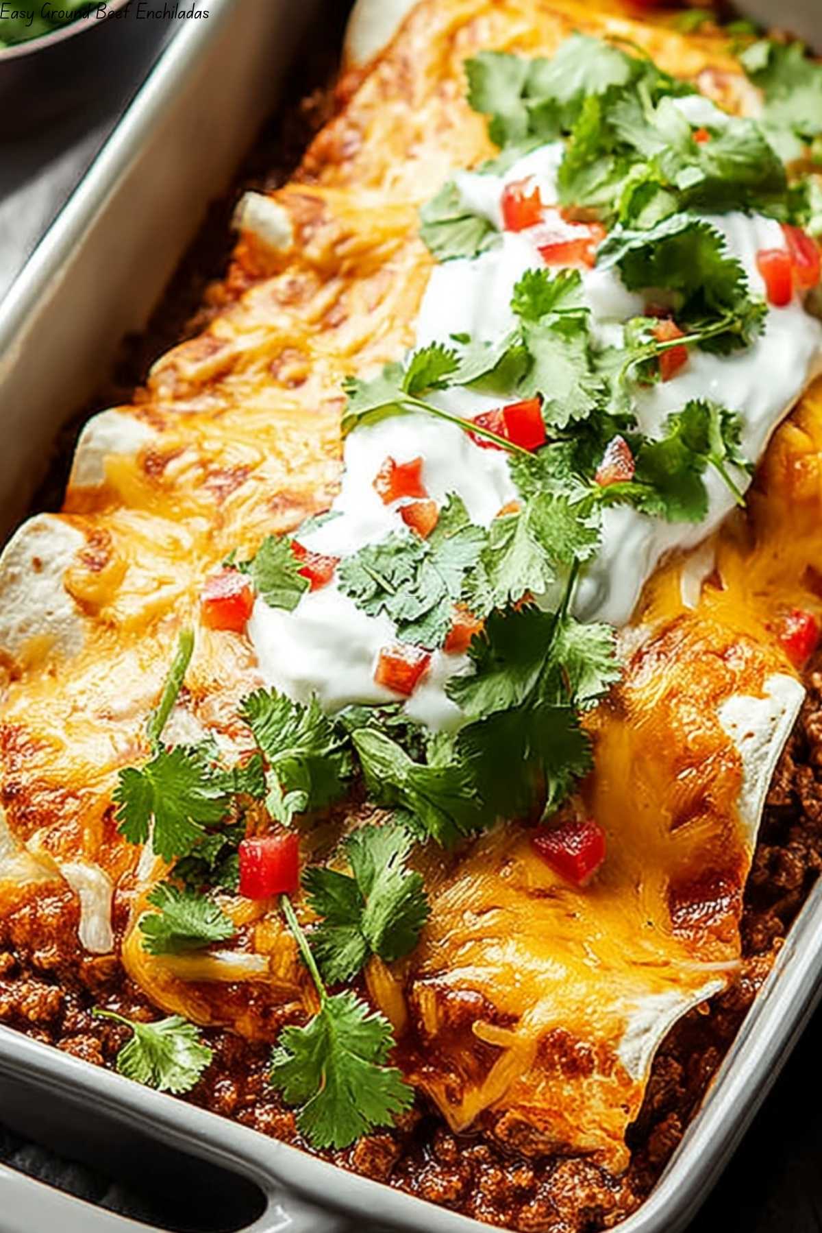 Easy Ground Beef Enchiladas