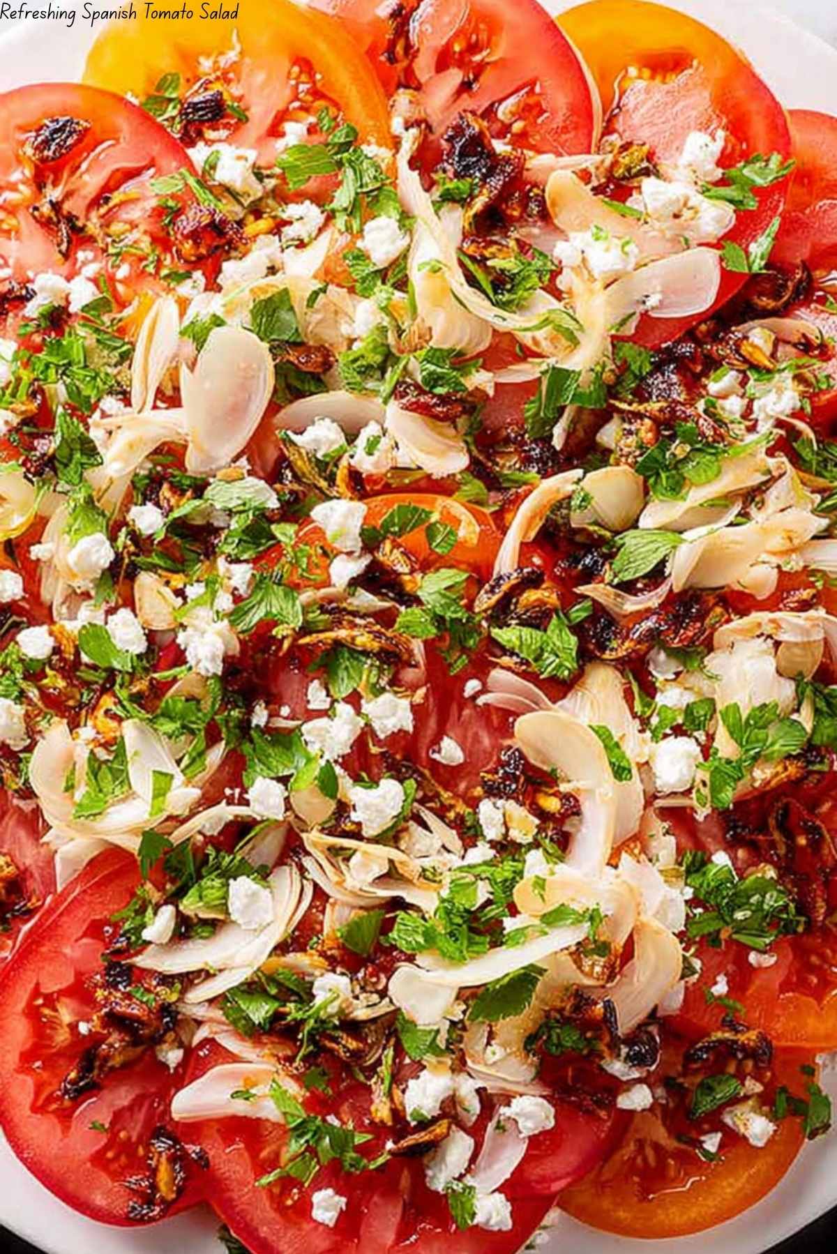 Refreshing Spanish Tomato Salad