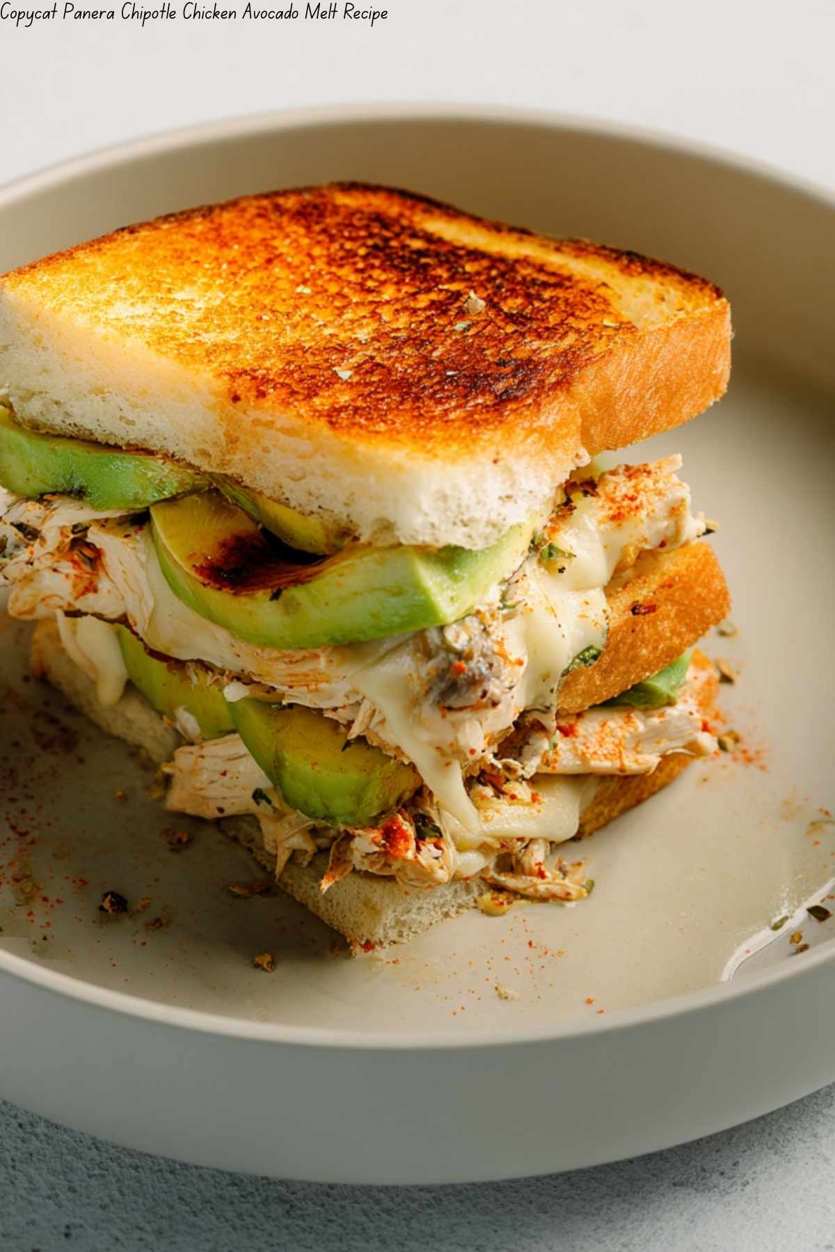 Copycat Panera Chipotle Chicken Avocado Melt Recipe