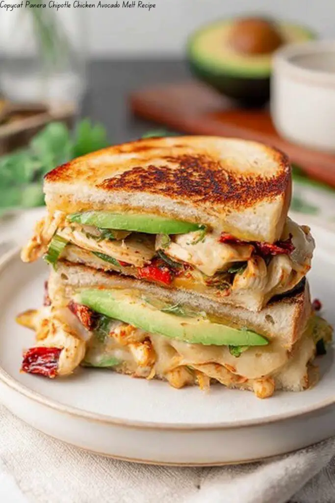 Copycat Panera Chipotle Chicken Avocado Melt Recipe