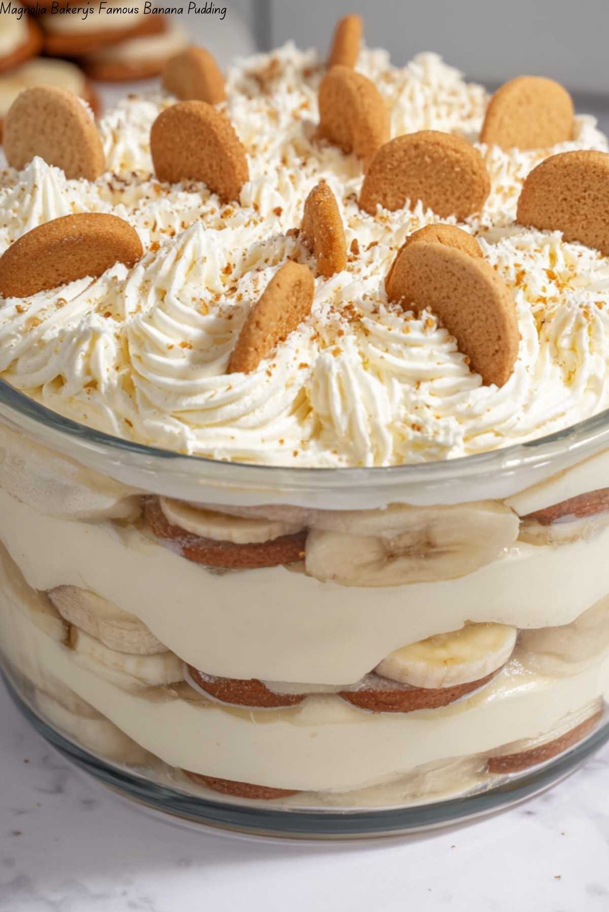 Magnolia Bakery’s Famous Banana Pudding