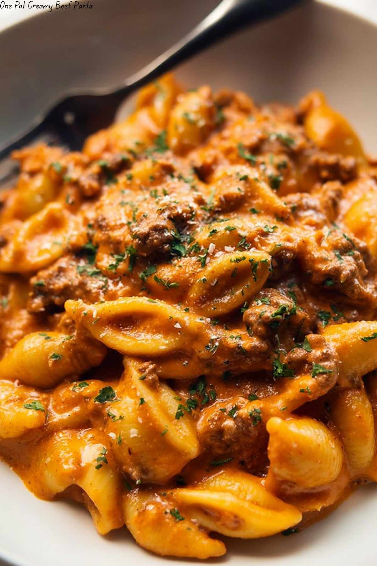 One Pot Creamy Beef Pasta