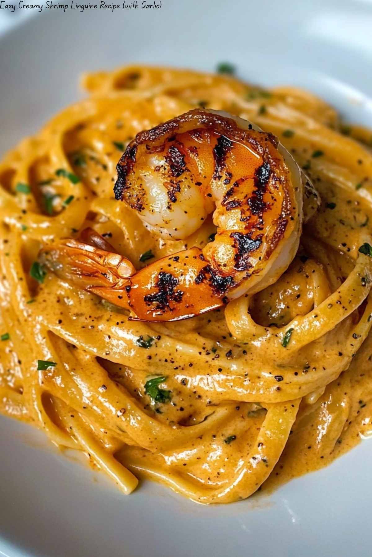 Easy Creamy Shrimp Linguine Recipe (with Garlic)