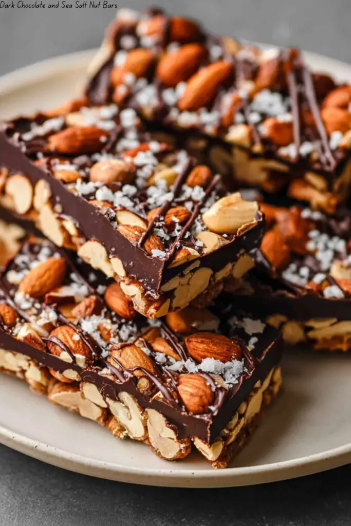 Dark Chocolate and Sea Salt Nut Bars