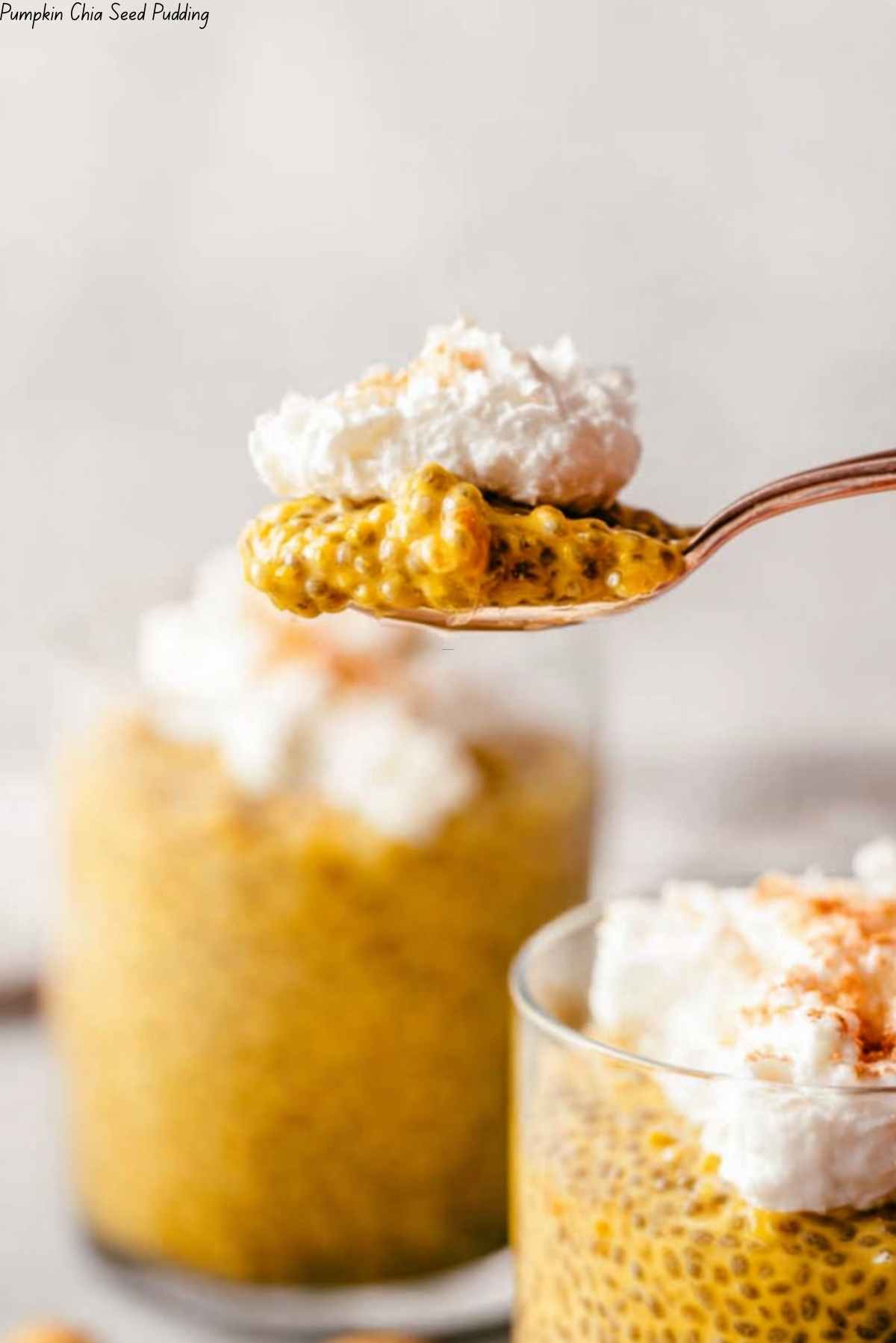 Pumpkin Chia Seed Pudding