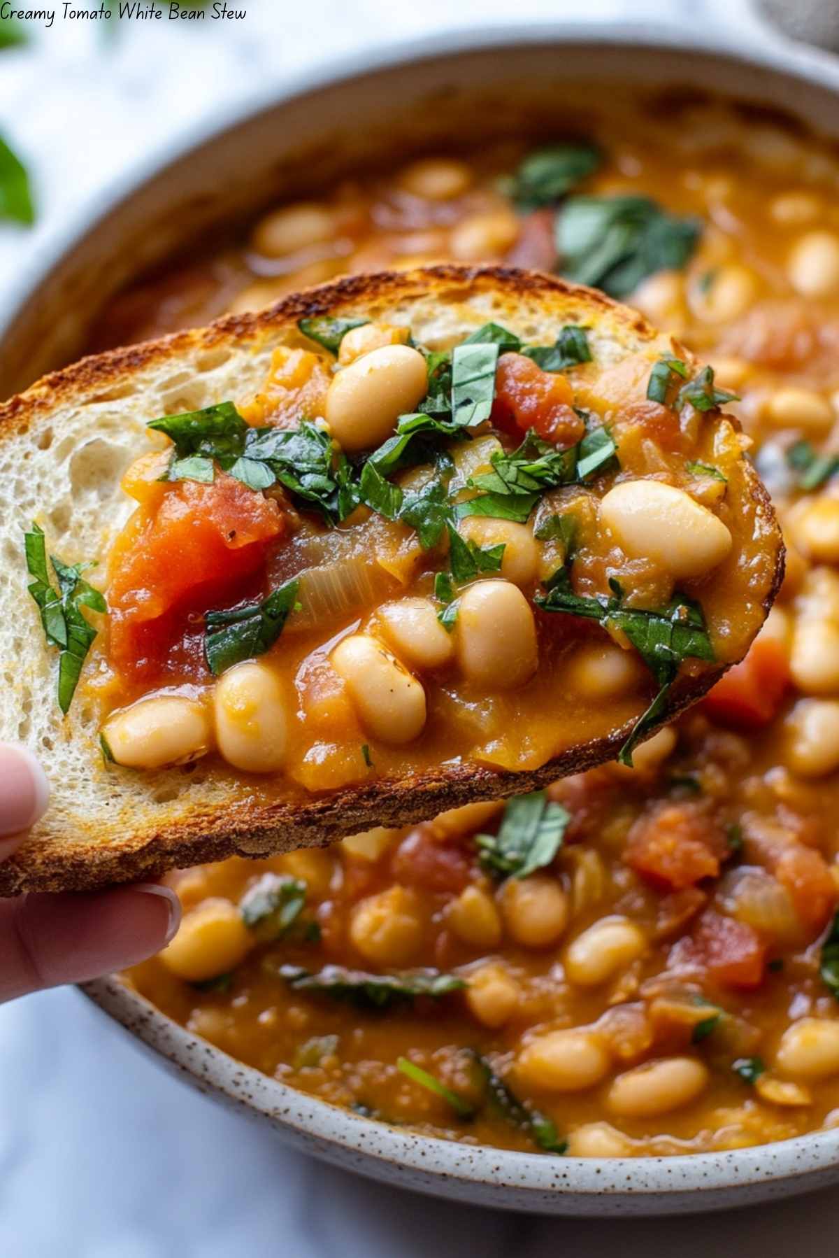 Creamy Tomato White Bean Stew