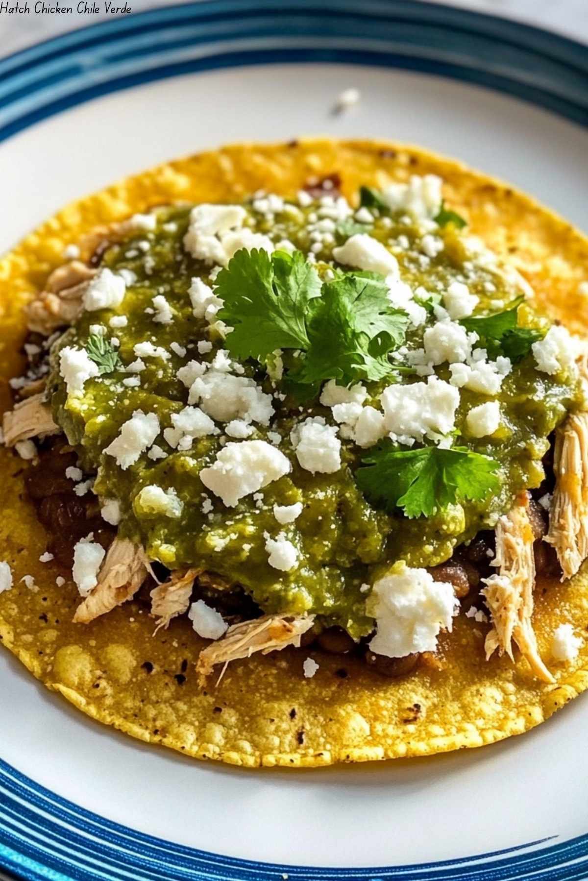 Hatch Chicken Chile Verde