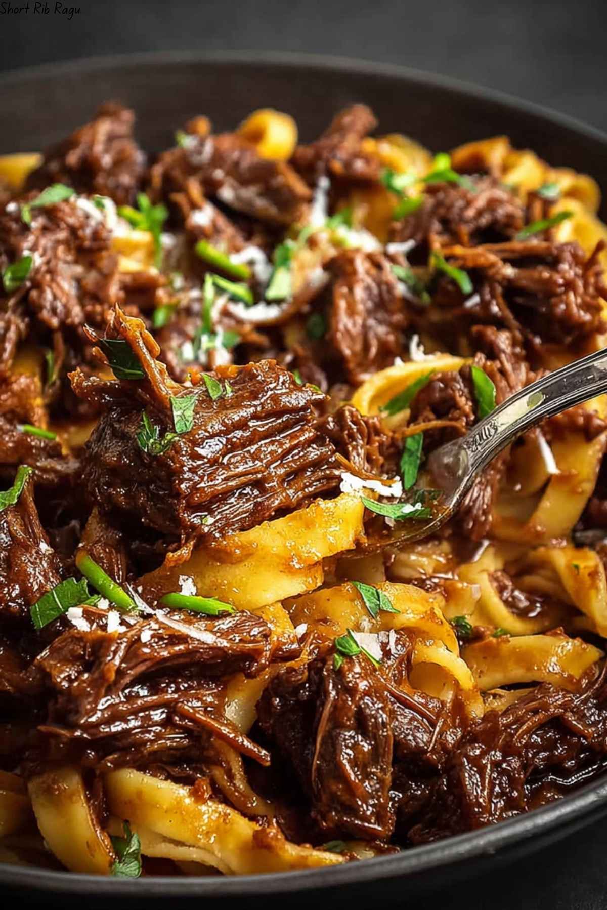 Short Rib Ragu