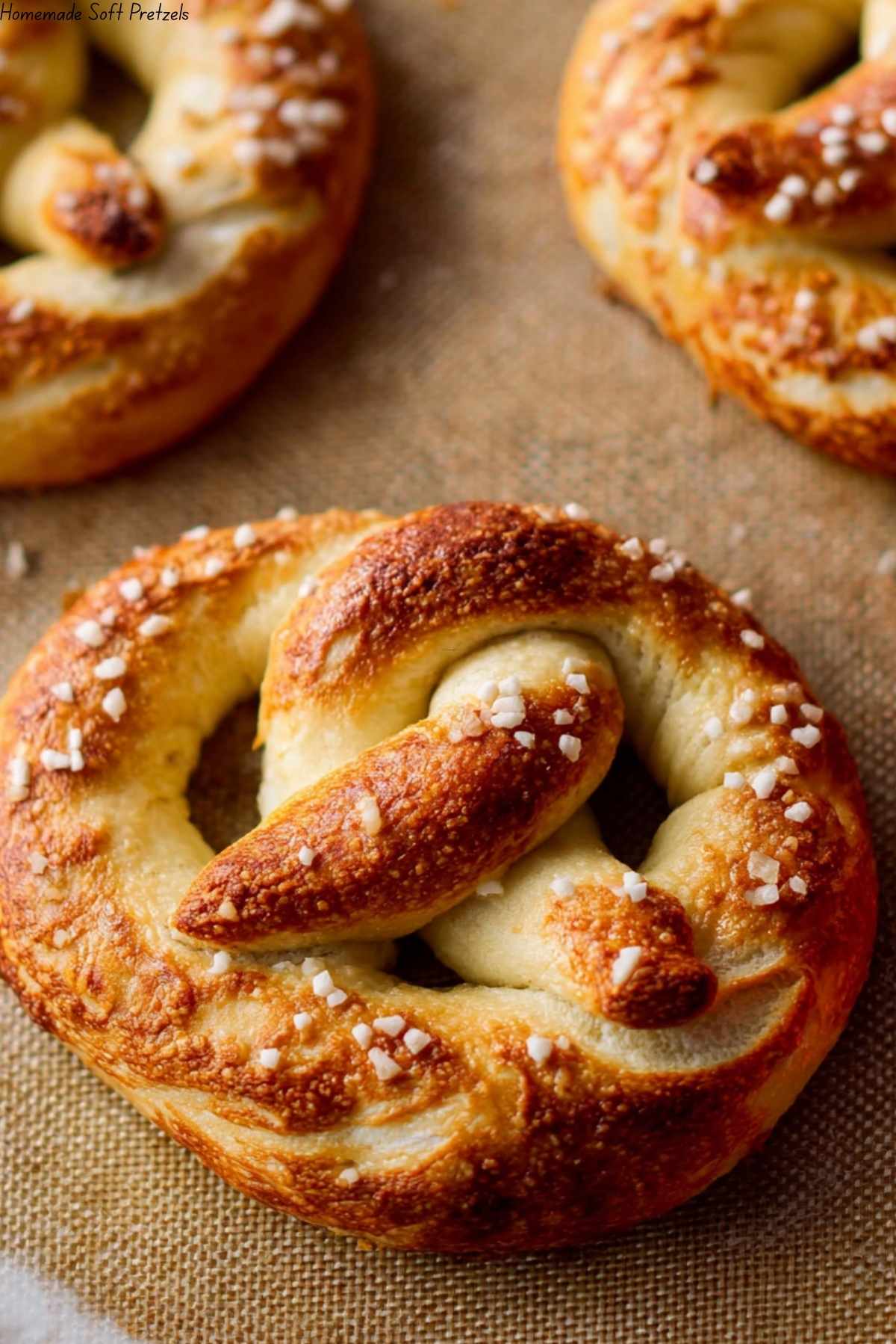 Homemade Soft Pretzels 3 Homemade Soft Pretzels
