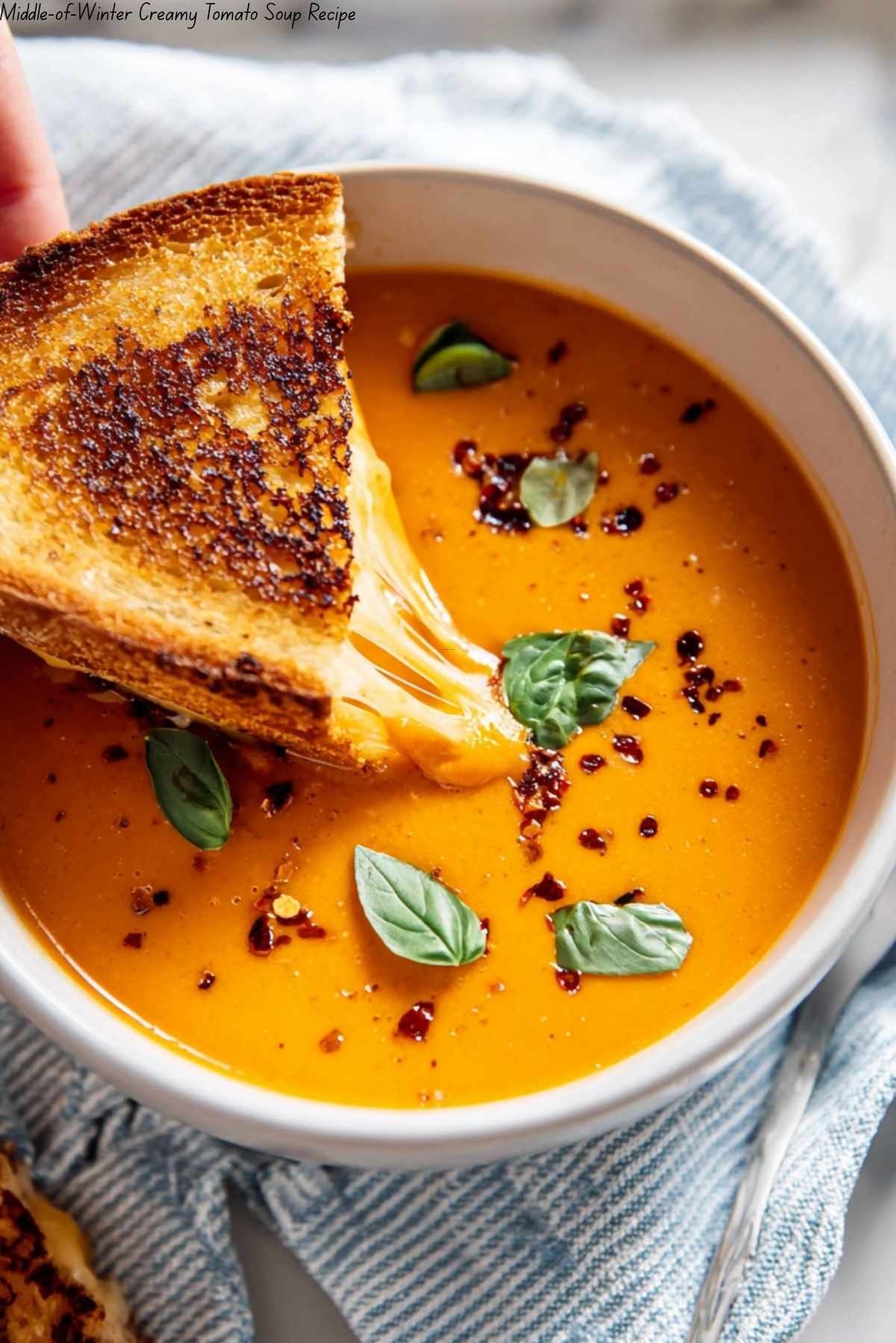Middle-of-Winter Creamy Tomato Soup Recipe