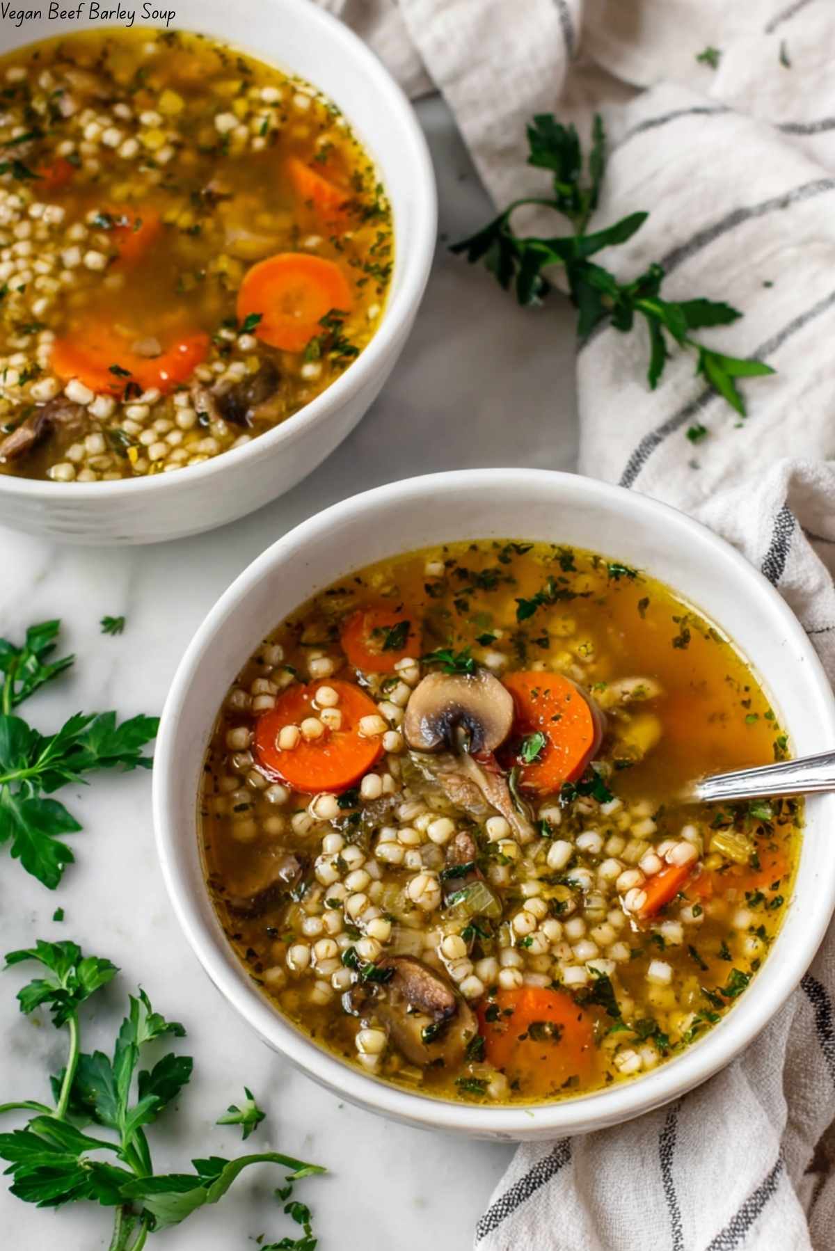 Vegan Beef Barley Soup