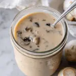 Cream of Mushroom Soup Substitute
