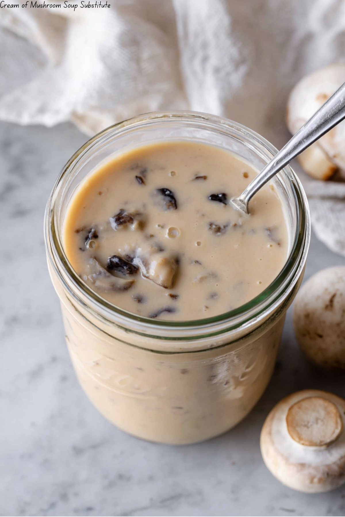 Cream of Mushroom Soup Substitute