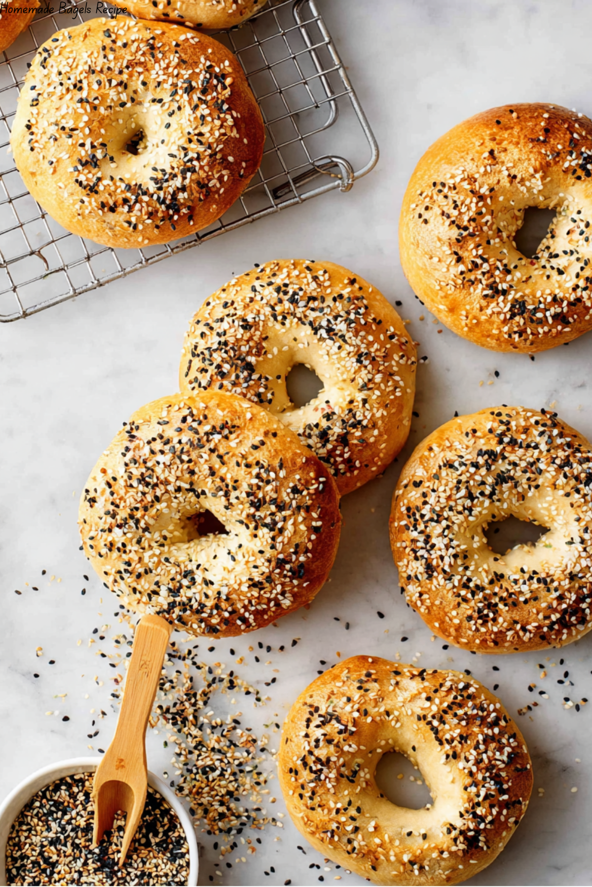 Homemade Bagels Recipe