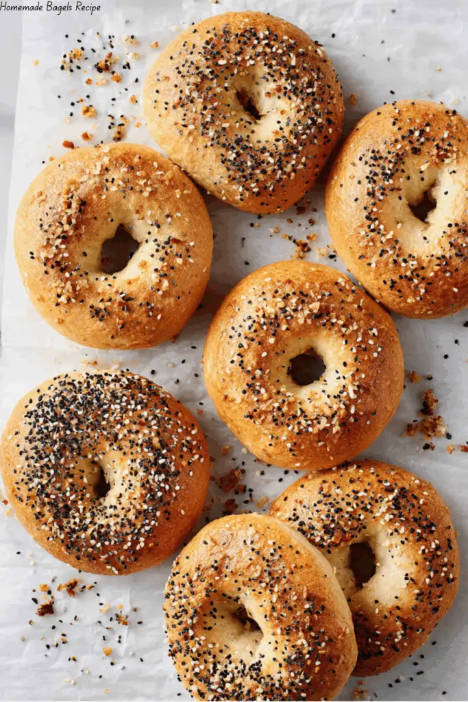 Homemade Bagels Recipe