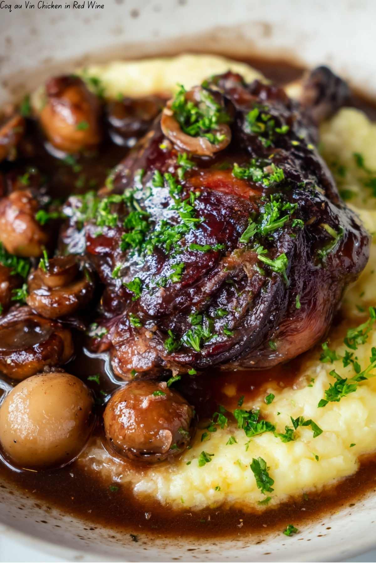 Coq au Vin Chicken in Red Wine